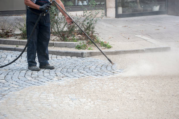 Best Fence Cleaning  in Lemont, PA